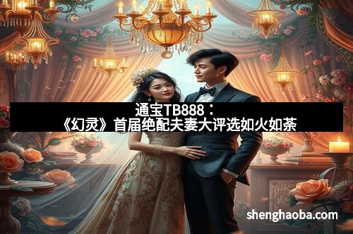 通宝TB888：《幻灵》首届绝配夫妻大评选如火如荼